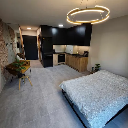 Apartment Castle Loft Apartment,spa, Gym ,sauna & Swimming Pool Free Parking